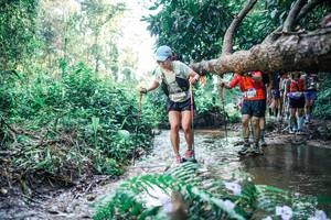 BIB: 
                            <button type="button" onclick="openModal(25445729)" class="btn btn-primary btn-sm float-right btn-popup" data-toggle="modal" data-target=".modal-high-quality">
                        <i class="fas fa-shopping-cart"></i> Add to Cart
                    </button>
                                            <button type="button" onclick="isThisMe(25445729, true)" class="btn btn-success btn-sm float-right btn-popup btn-isme hidden" data-toggle="tooltip" data-placement="bottom" title="นี่คือรูปของคุณใช่ไหม คลิกที่นี่เพื่อเอาเข้าอัลบั้ม">
                        <i class="fas fa-plus"></i> Add to album
                    </button>
                    <button type="button" onclick="isThisMe(25445729, false)" class="btn btn-warning btn-sm float-right btn-popup btn-isnotme hidden">
                        <i class="fas fa-ban"></i> Remove from album
                    </button>